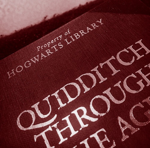 deviousdance's tweet image. ⠀
     ⋆˚࿔ 𝐆𝐢𝐧𝐧𝐲 𝐖𝐞𝐚𝐬𝐥𝐞𝐲 𝜗𝜚˚⋆
      ✦ 𝗵𝗼𝗺𝗼 𝗵𝗼𝗺𝗶𝗻𝗶 𝗹𝘂𝗽𝘂𝘀.

⠀