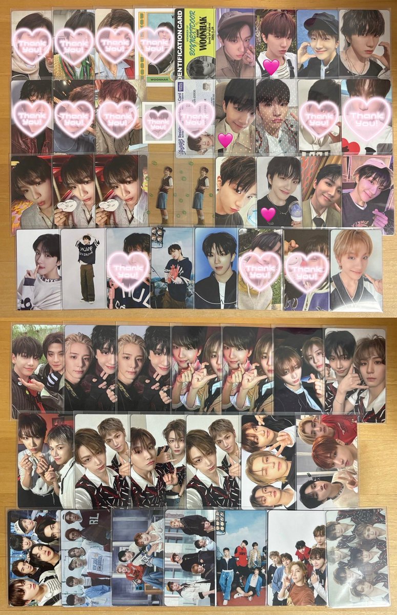 🐾⭐︎ tweet media