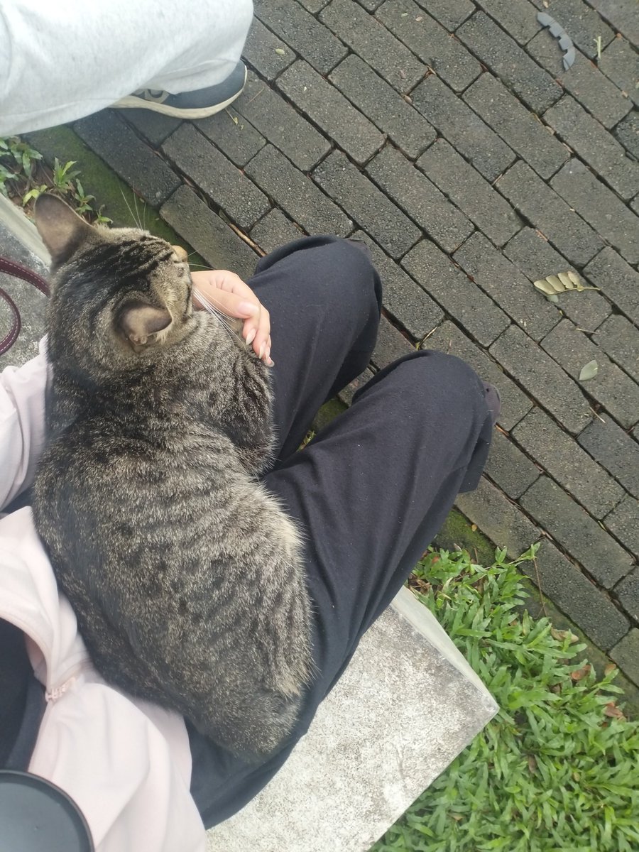 choco_7milk's tweet photo. I hardly gave you affection so why did you keep coming to me? https://t.co/APrG42Ti6N