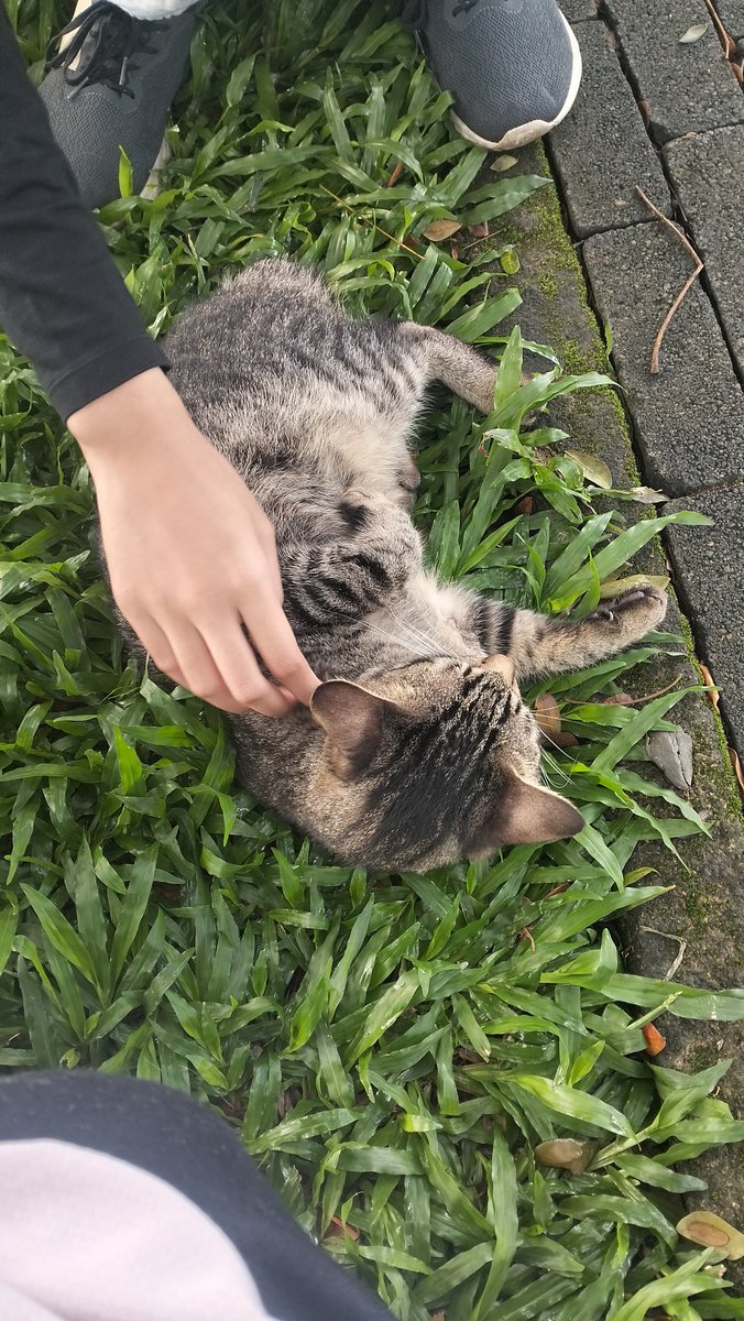 choco_7milk's tweet photo. I hardly gave you affection so why did you keep coming to me? https://t.co/APrG42Ti6N