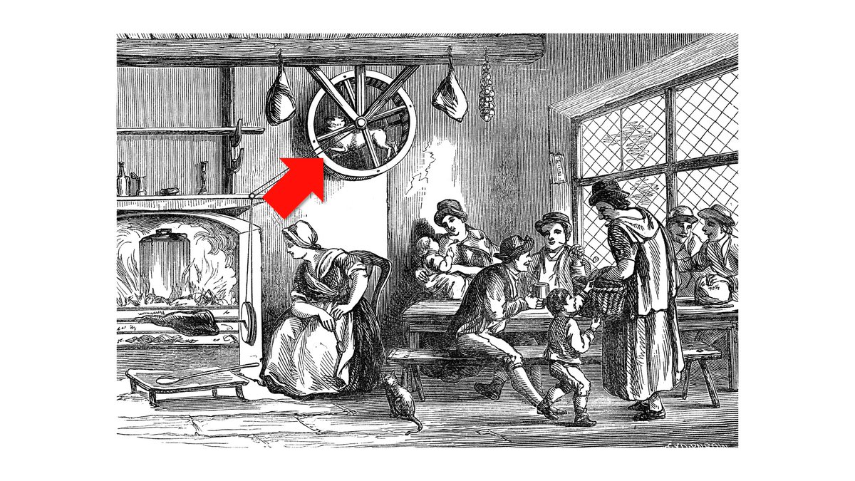 本で見たことあるな この犬