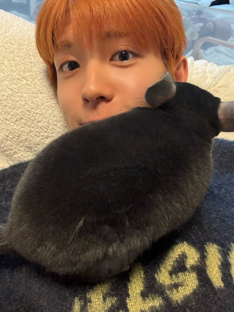즤즤 tweet media