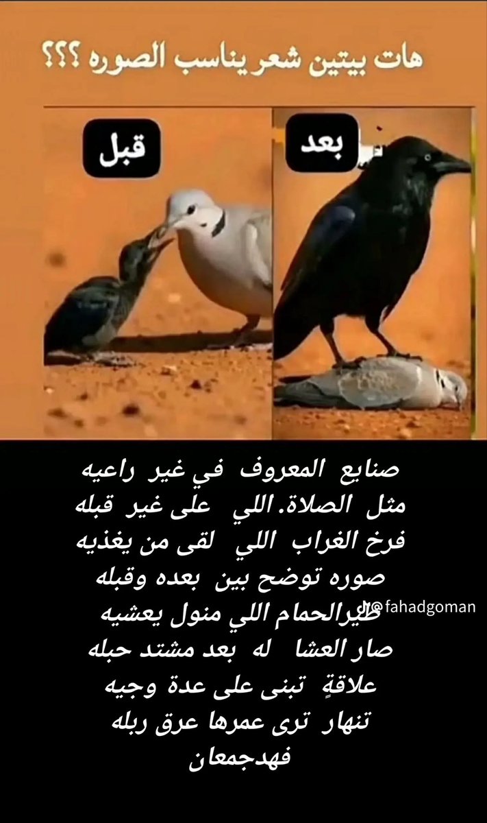 alegeely765's tweet photo. صح لسان الشاعر على هذه الأبيات الرائعه https://t.co/7Fp4HIJISk