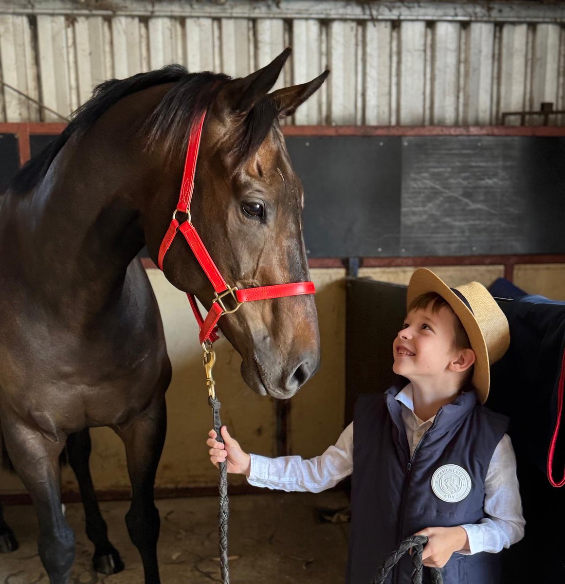 Ryan Shinn tweet media