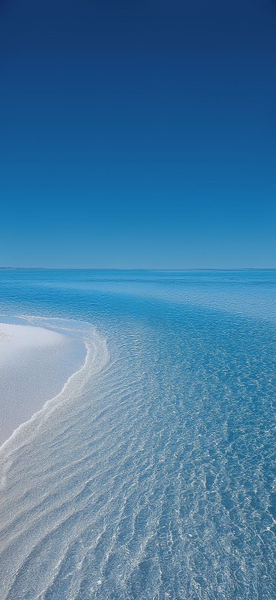 water_diaries's tweet image. 