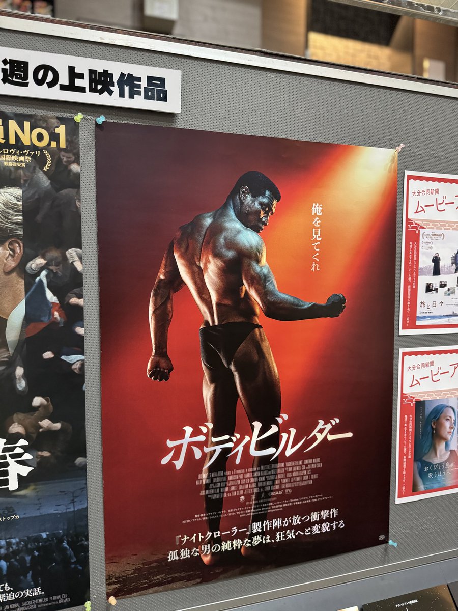 女性の夢のボディ