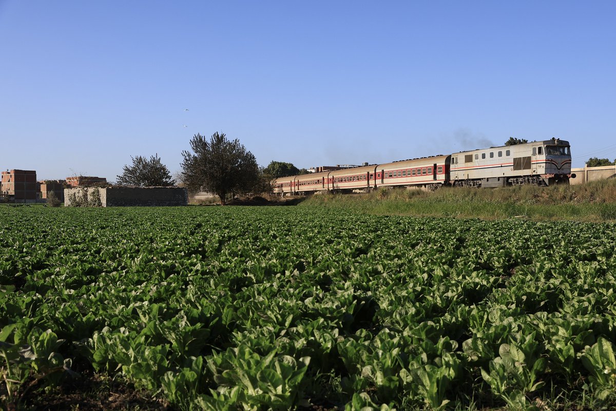 ねんね☆ミ tweet media