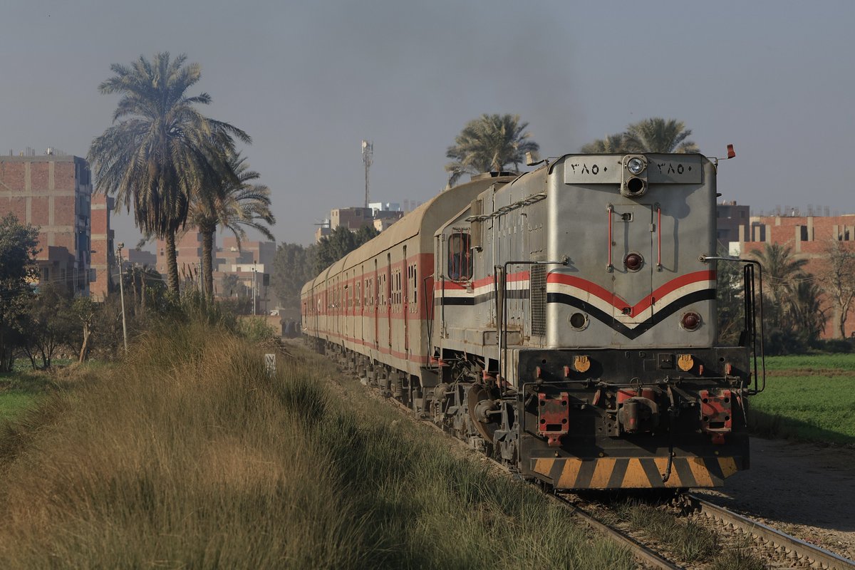 ねんね☆ミ tweet media