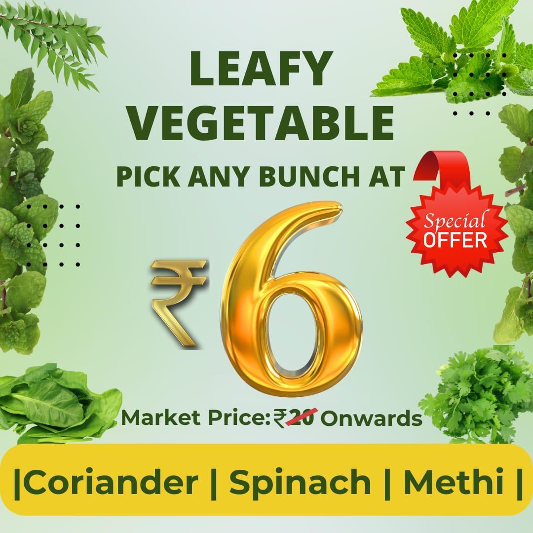 nasikcitycentre's tweet image. THE GREEN DHAMAKA OFFER! 

Why pay more elsewhere? Get your daily dose of greens at a fraction of the cost!

Pick any bunch for only ₹6! (Market Price: ₹20+ Onwards)

Coriander | Spinach | Methi

Stock up your fridge with fresh, local greens today!  

#StealDeal #FreshVeggies