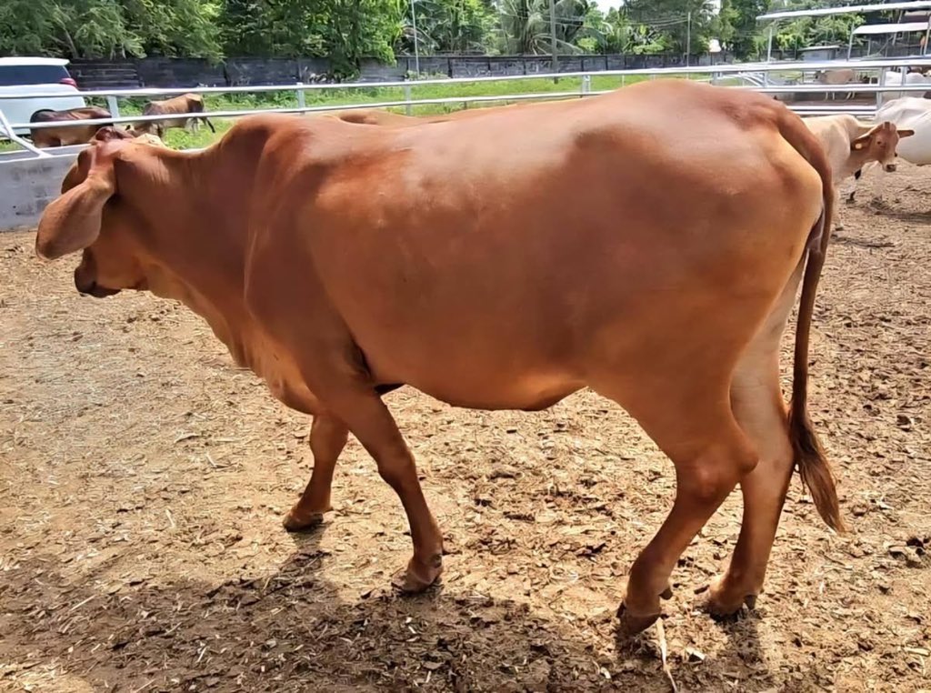 Ndi_Muvenda_'s tweet image. Before and After 🔥❤️