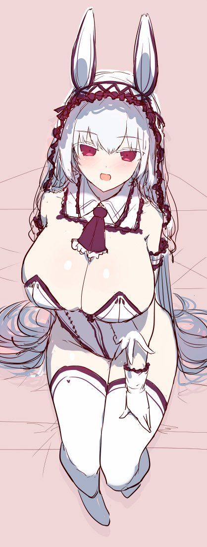 バニーの日です 