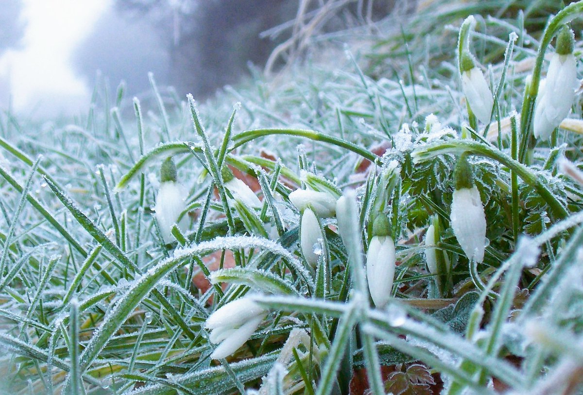 #frosty start to the day #loveukweather #Lincolnshire