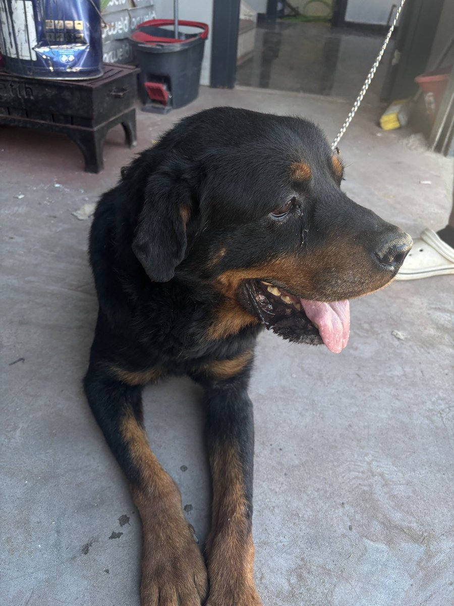 Günaydın çirkin ve daha çirkinler.