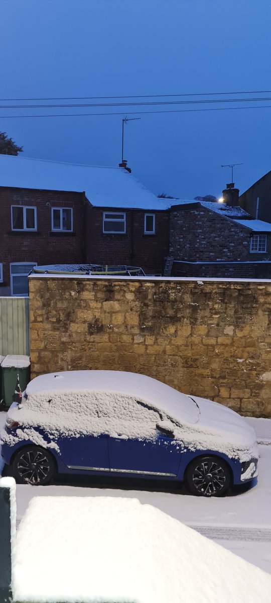 Philip cole tweet media