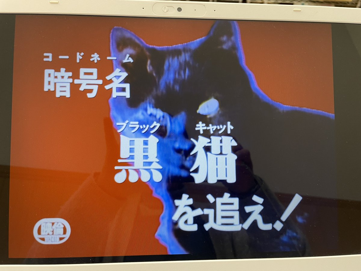 ブラックキャット