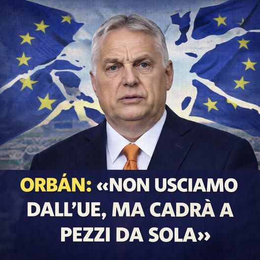 BlobRai3's tweet image. "LA BENEDIZIONE" URBI ET "ORBAN"!?!
Durante una conferenza stampa lunedì, il primo ministro ungherese Viktor Orbán ha previsto che l'Unione Europea "cadrà a pezzi da sola" a causa del "caos nella leadership"... (Euronews, 6 gennaio).
Alle 20su Rai3 #blob  lo speciale #ZIGGY.