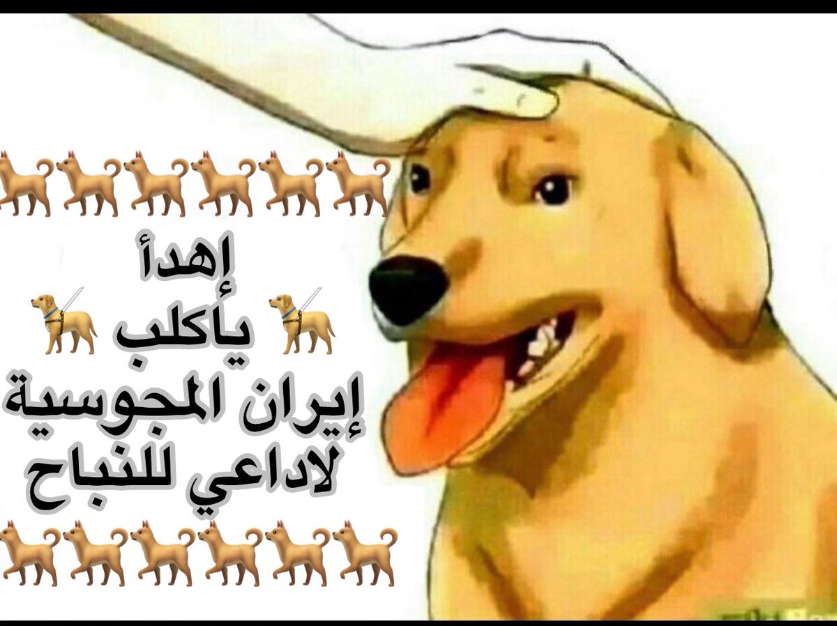 بن زلفان tweet media
