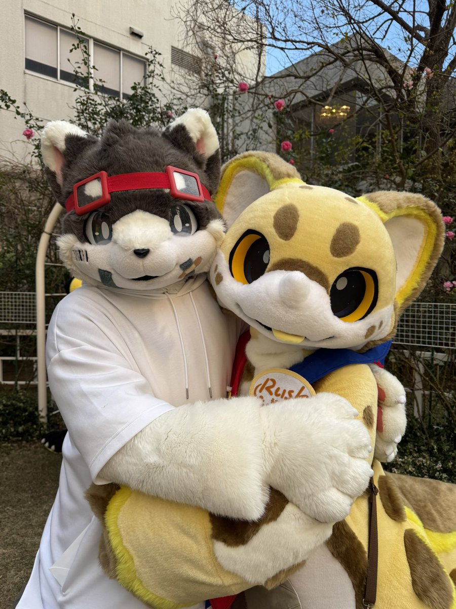 JMoF3日目 可愛いモフモフいっぱい！ そして体力ヤバいっ！ #着ぐるみ