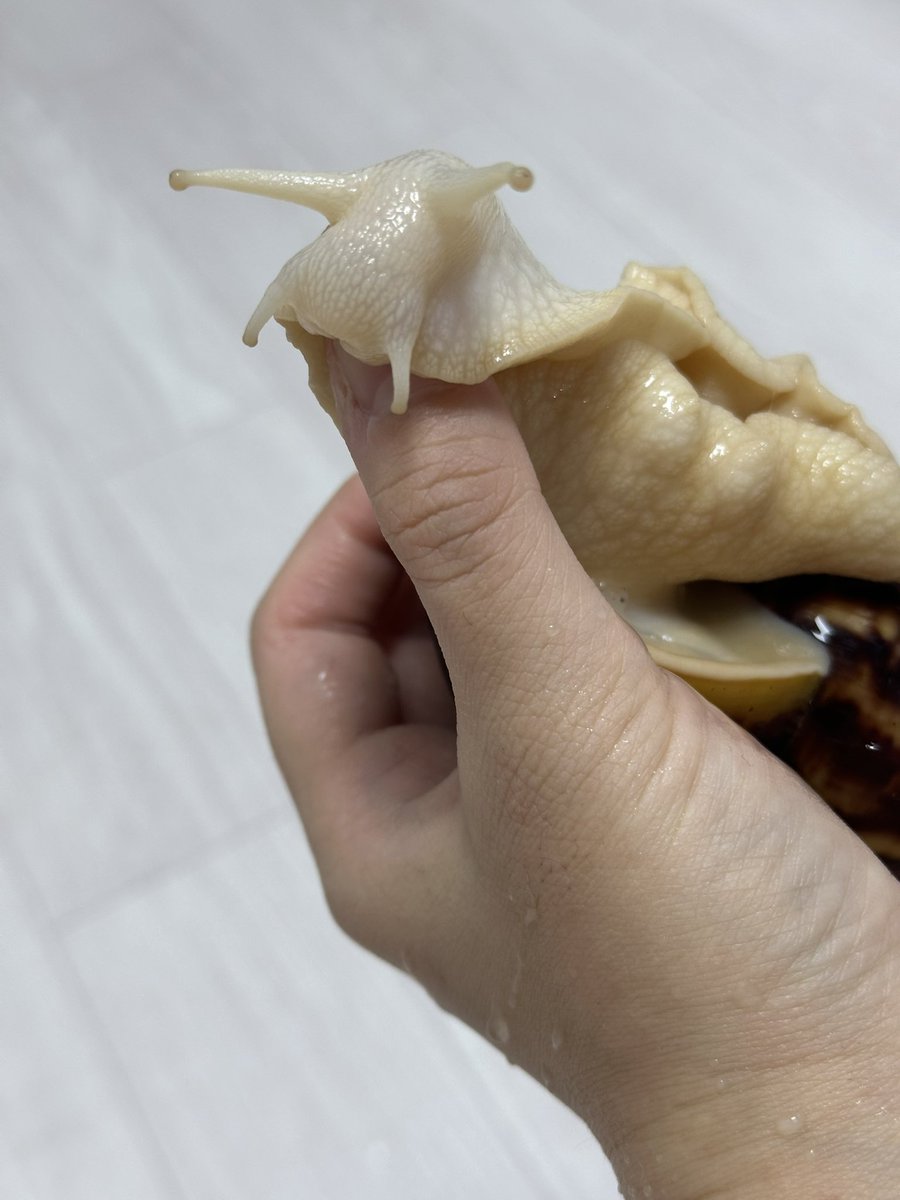 목욕해서 개운한 뚱이씨