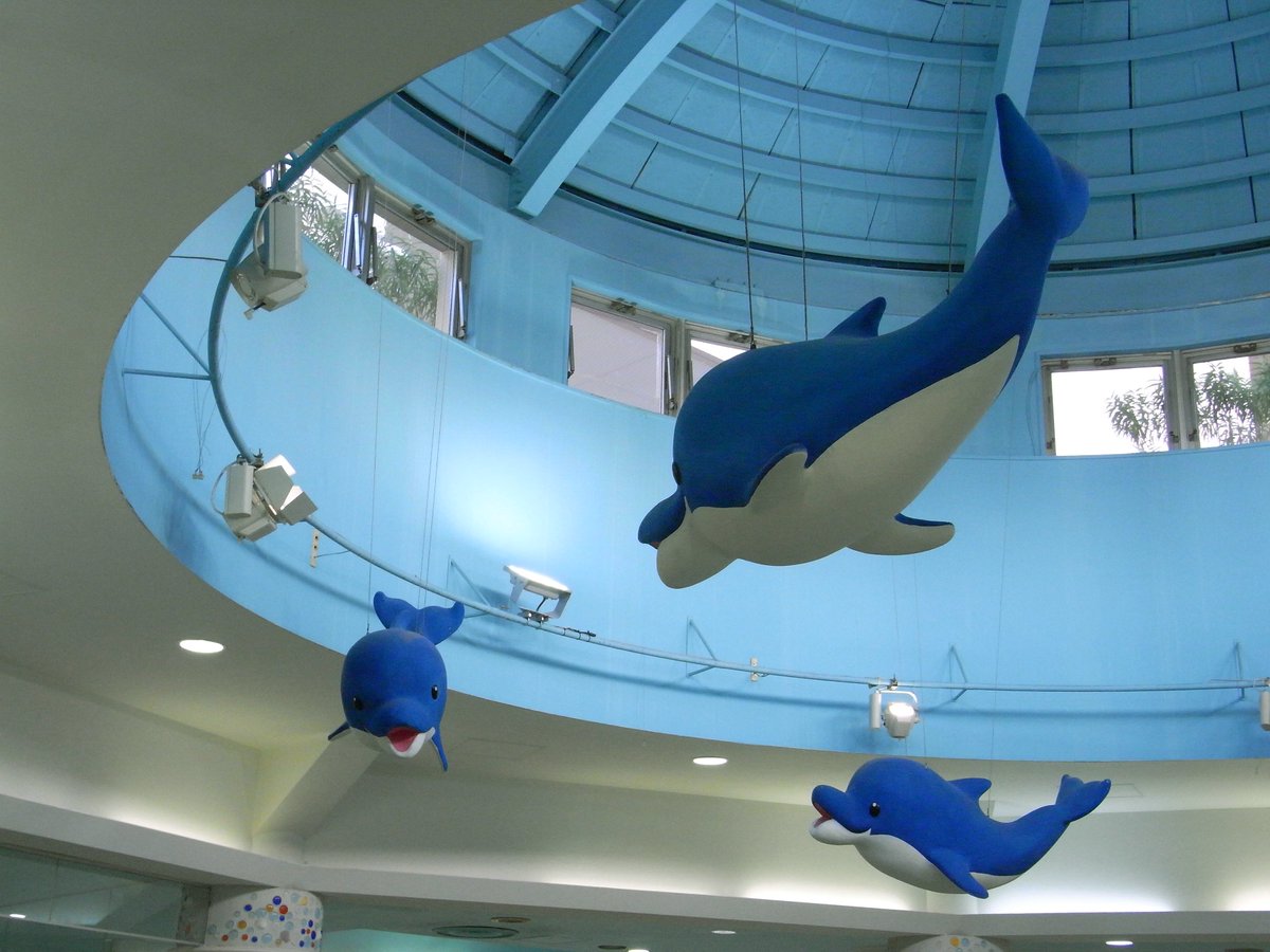 wl0kj's tweet image. 