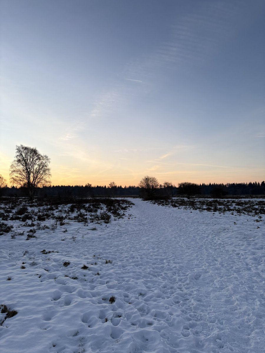 08.00 uur Zondagochtendrondje (-6 graden) #GroevenbeekseHeide #Ermelo #pp