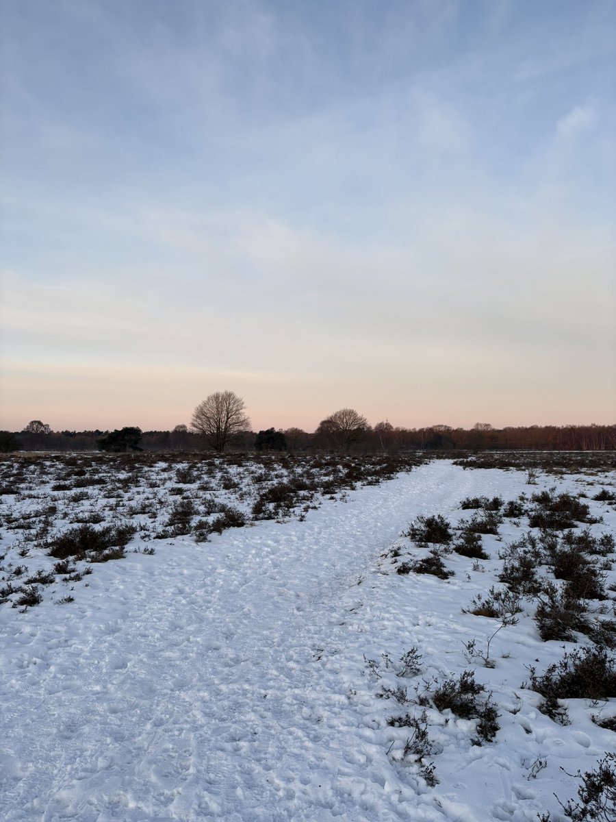 08.00 uur Zondagochtendrondje (-6 graden) #GroevenbeekseHeide #Ermelo #pp