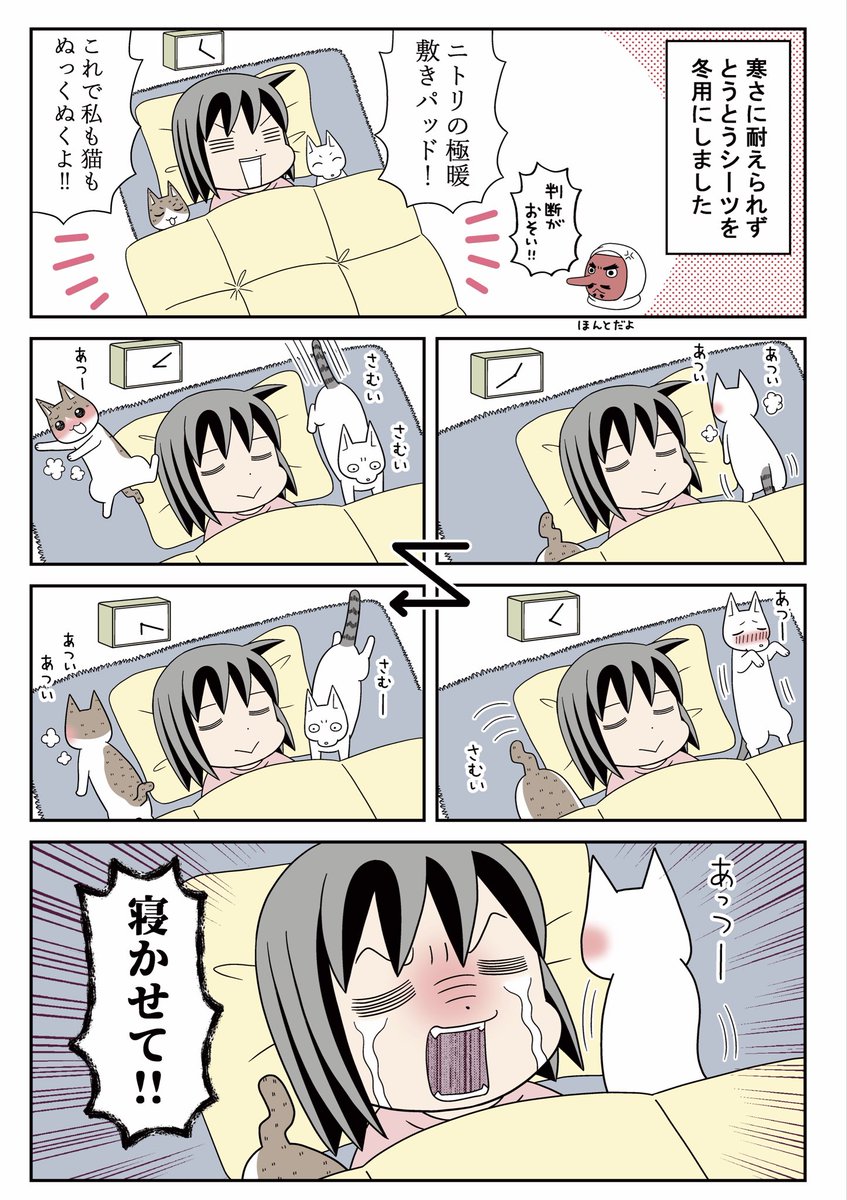 Post by カワサキカオリ@コミティア156さ48b on X: 猫と寝る🛌