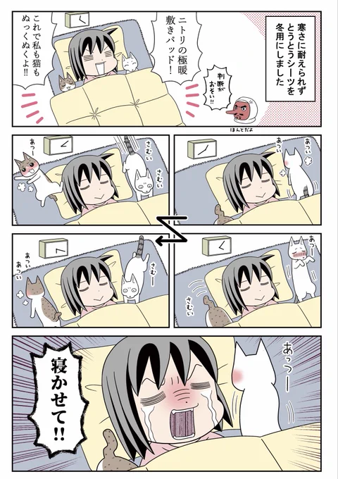 猫と寝る🛌 