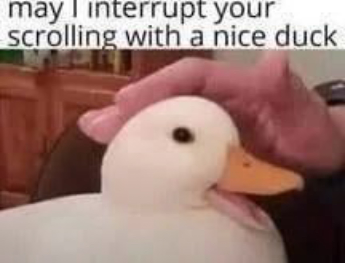 Respectful Memes tweet media
