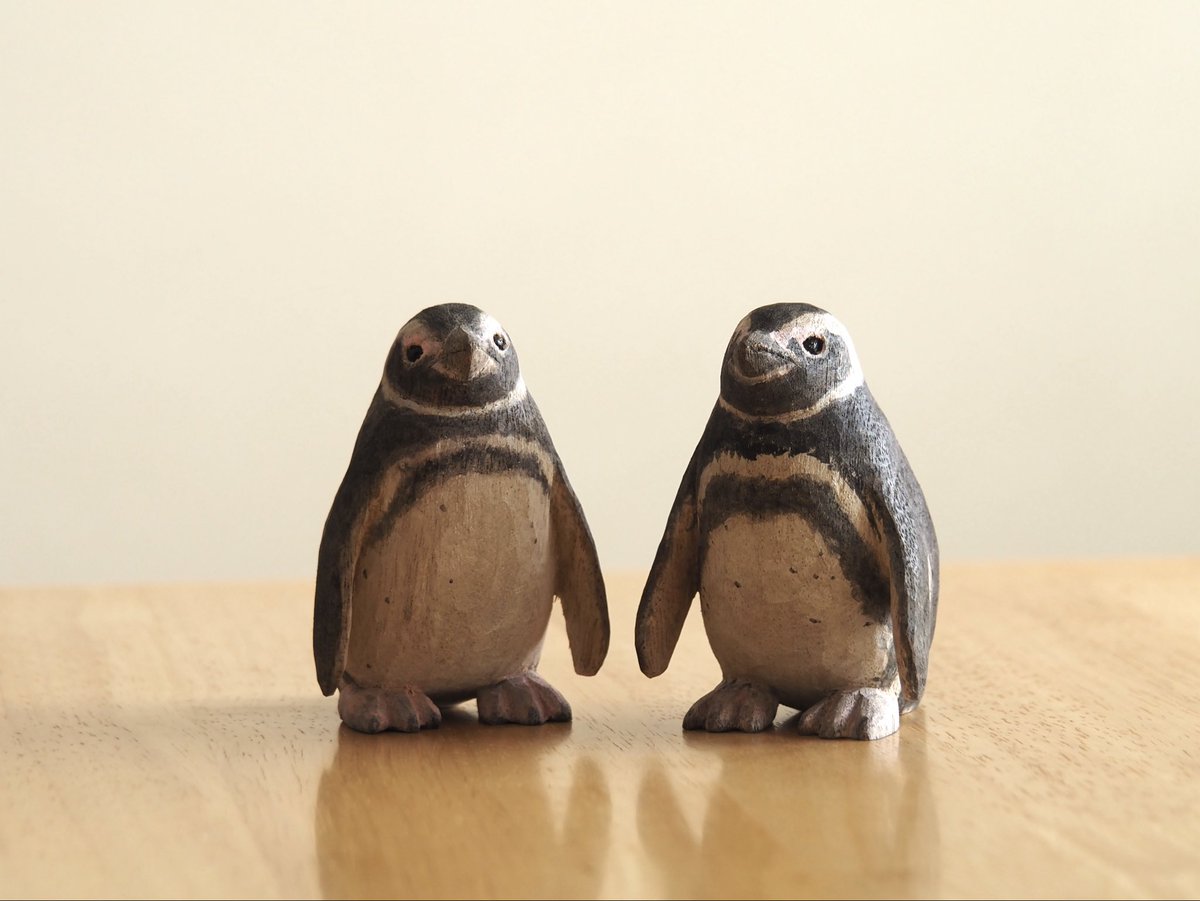 ならペンギンランド 出品ペンギンのご紹介 その3 マゼランペンギン