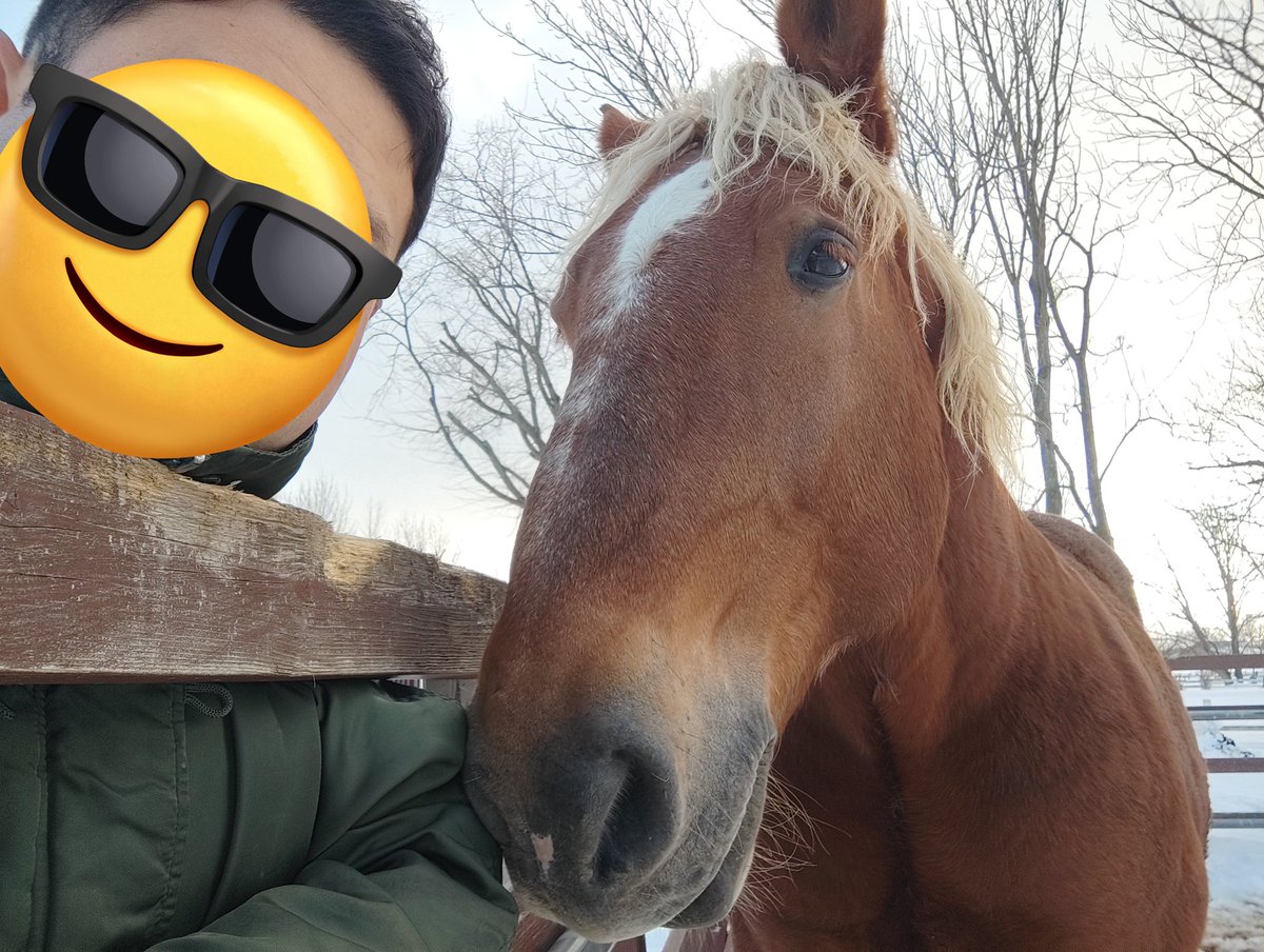 やく🐴馬好きおじさん (@kamine89) / Posts / X
