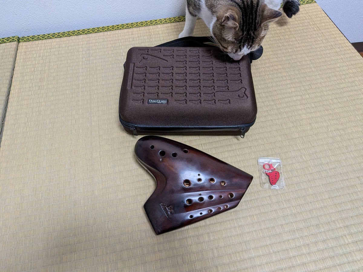 バストリ買っちゃった🫲☺️🫱
めちゃテンション上がってきた😋