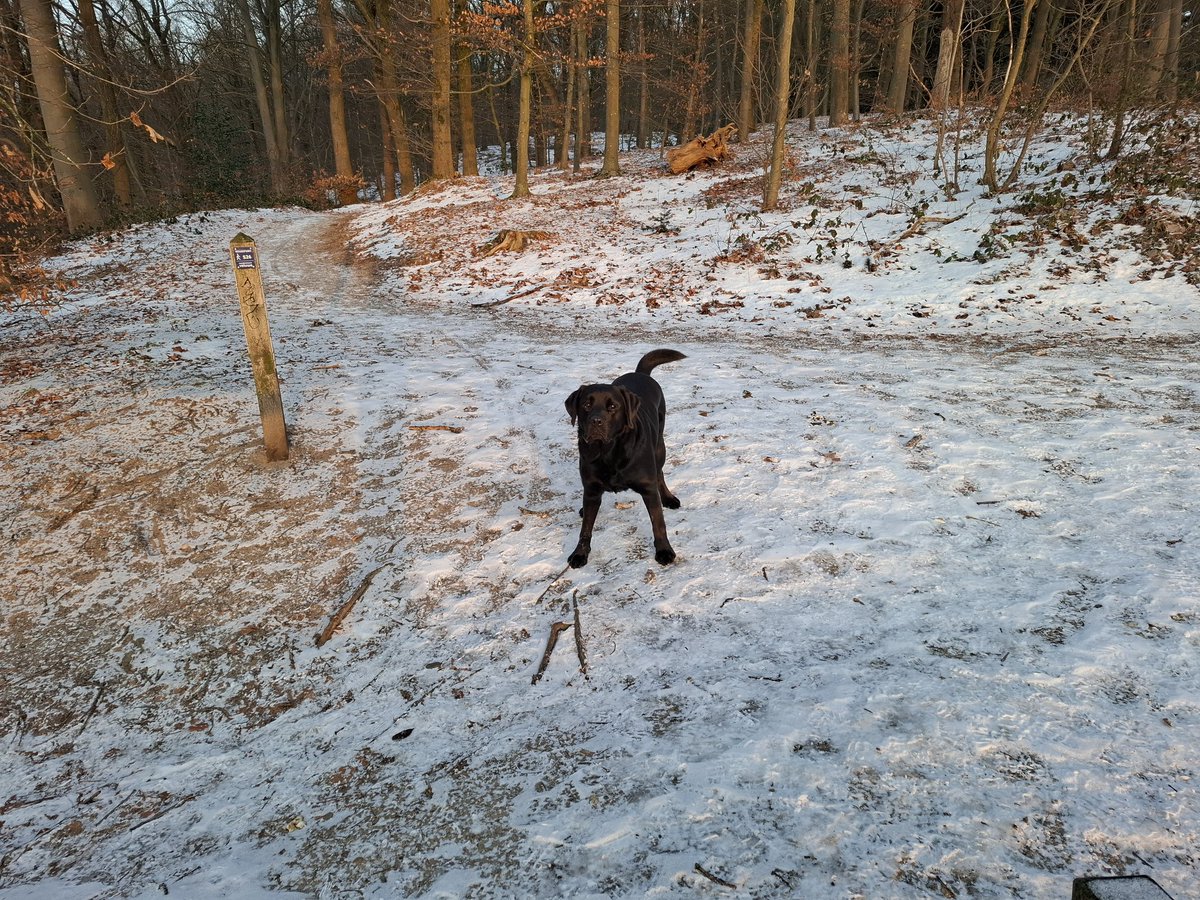 Frank Huizinga tweet media