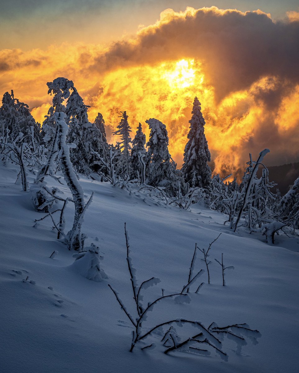 CedricSchell's tweet photo. Paysages d’hiver https://t.co/Un9pknhwVa