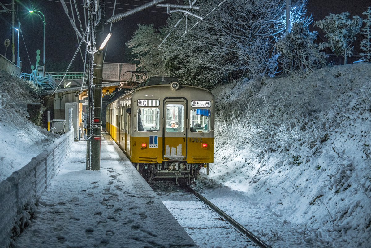 香川はめったに雪が積もらないからこの組み合わせはレア 雪に反射する