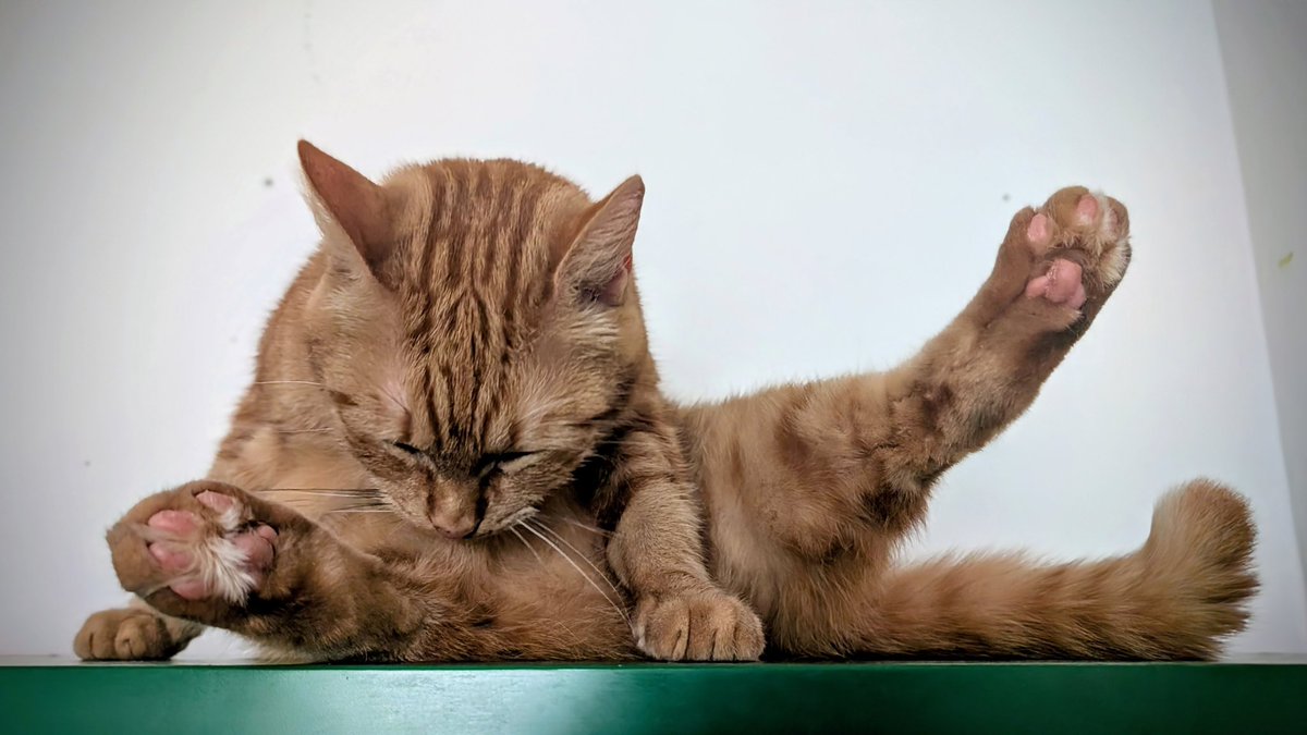 🫣Dospělí, nevolejte na Linku bezpečí, i když to AI radí.
Je to linka pro děti a studenty do 25 let!
Pro dospělé vybírám:
▫️Linka první psychické pomoci (v noci jen akutní stavy) 116 123
▫️Modrá linka: 608 902 410
▫️Pražská linka důvěry 222 580 697

Za RT moc děkuji, pomůžete.