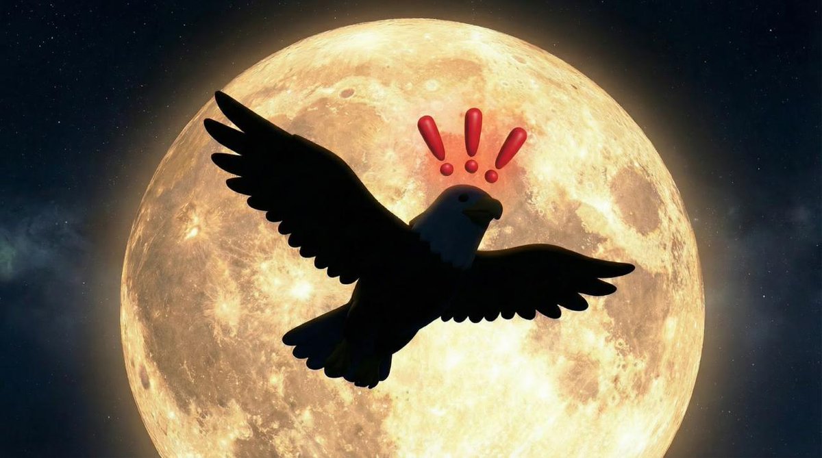 NikolaiHauckx's tweet image. dips are for buying

selling $liberty will be a mistake

goodnight

🦅☝️