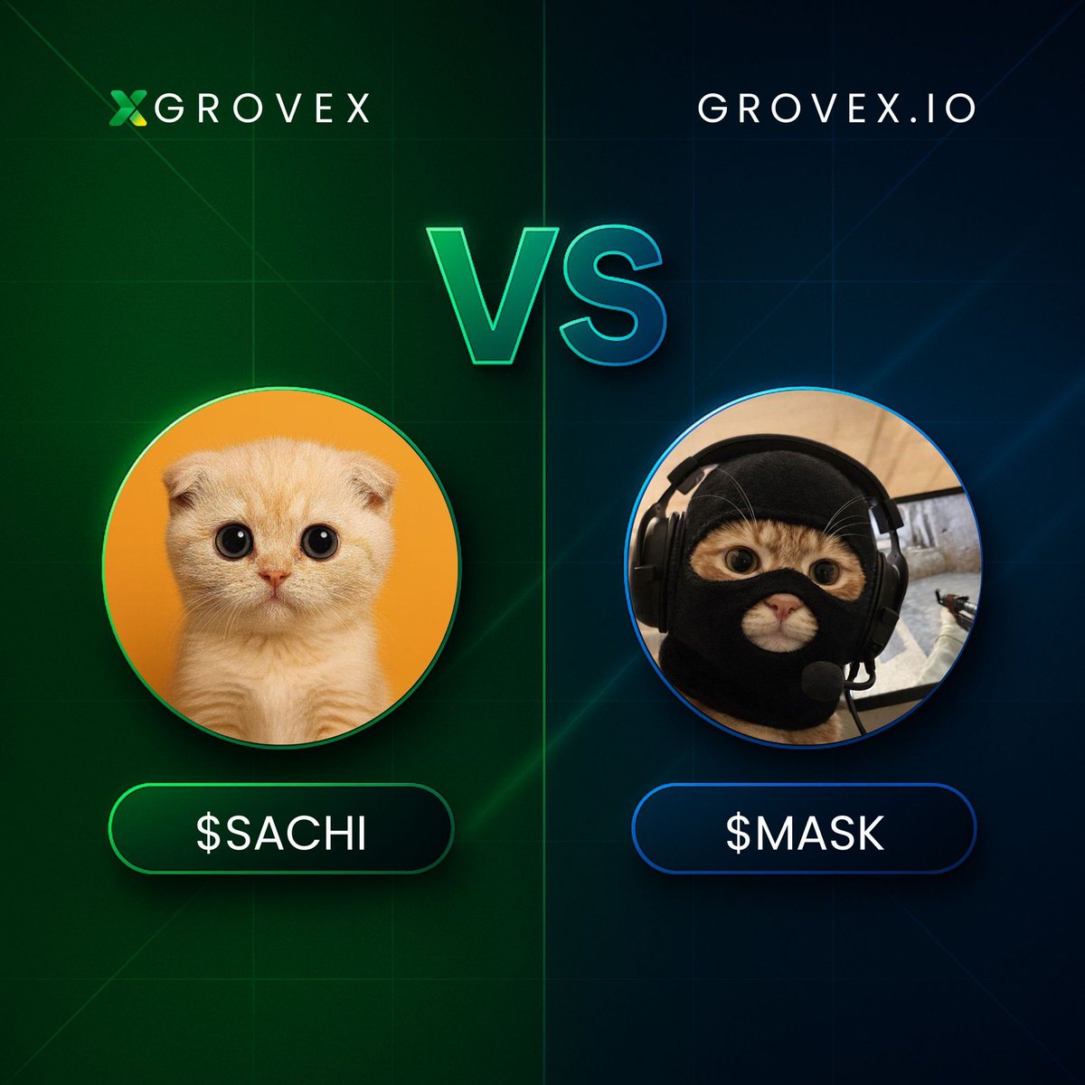 GroveXchange's tweet image. 🐱 $SACHI vs $MASK  
Which of these adorable cat armies are you riding with? 😼💜

  #Cryptocommunity #GroveX