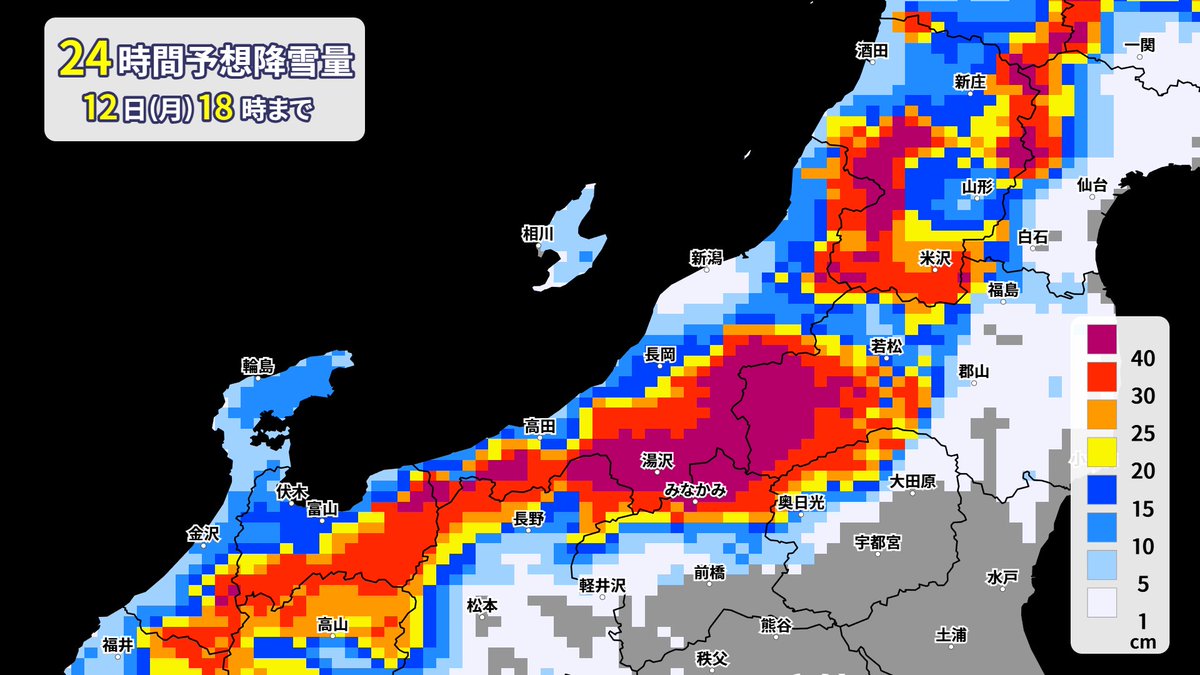 走る人参(気象予報士) tweet media