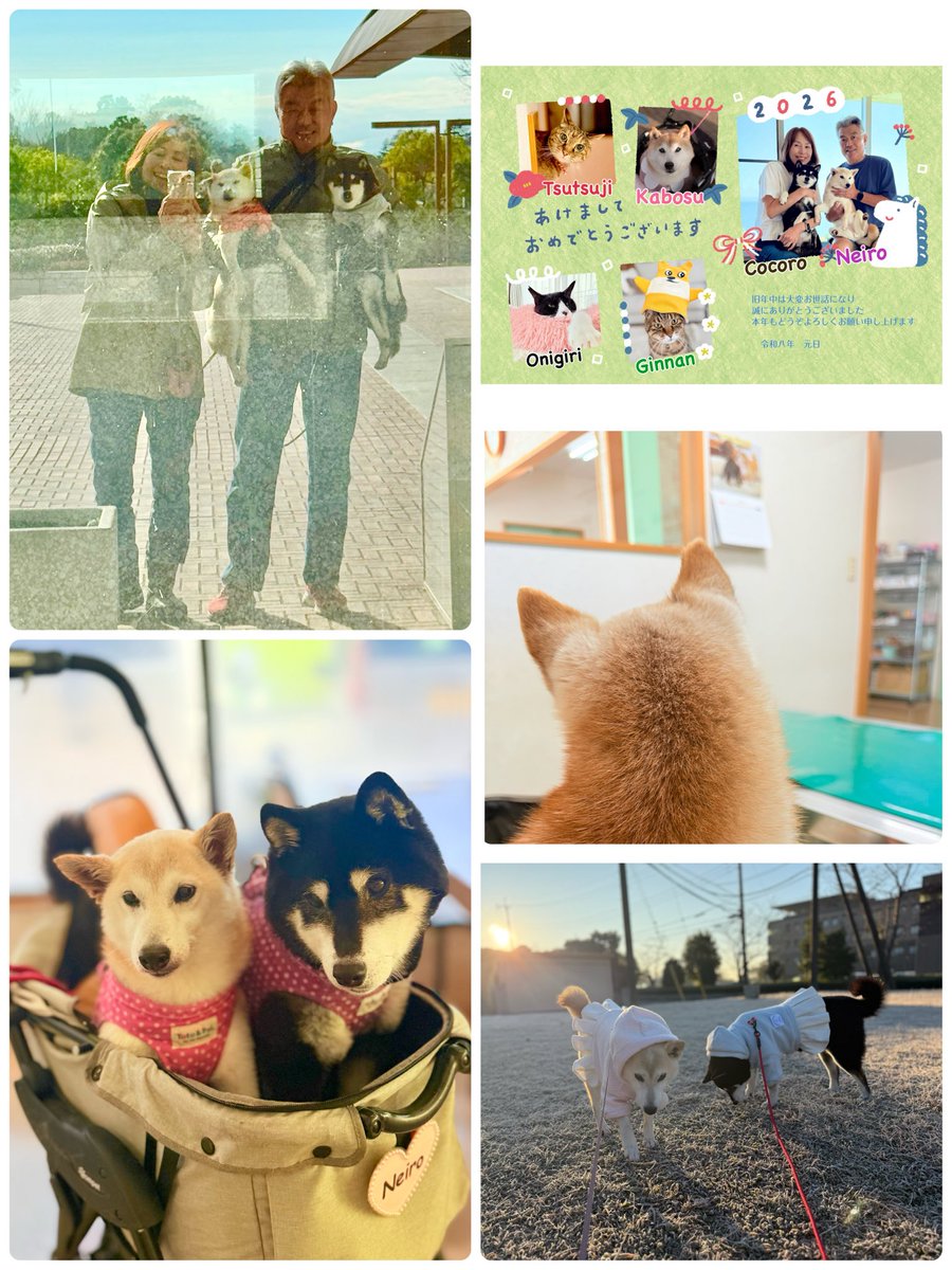 ブログを更新しました🆙 あけましておめでとうございます(^^) やっと冬眠から覚めました！ かぼすちゃんとおさんぽ 。  https://t.co/vnPLj8bgHo