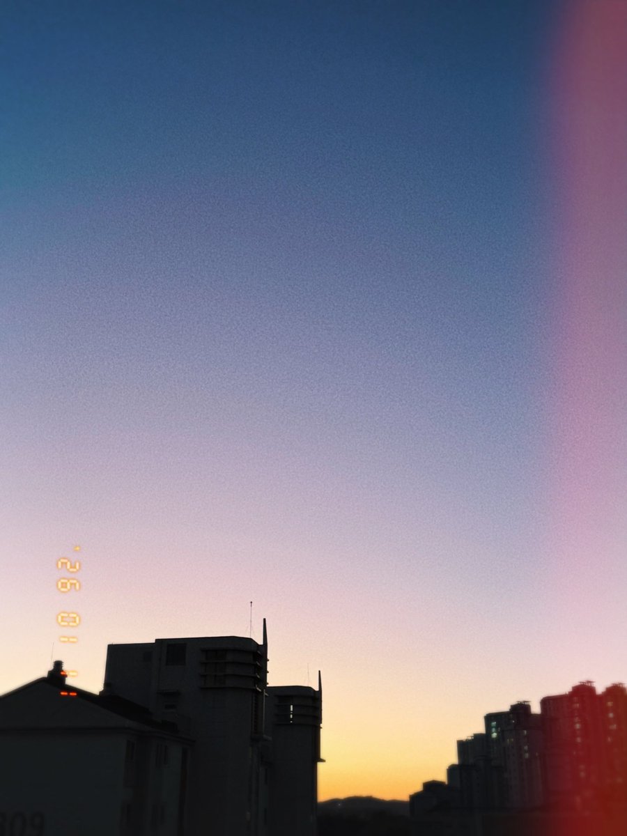 차가움 속에 생명력을 품고 있는 겨울 하늘