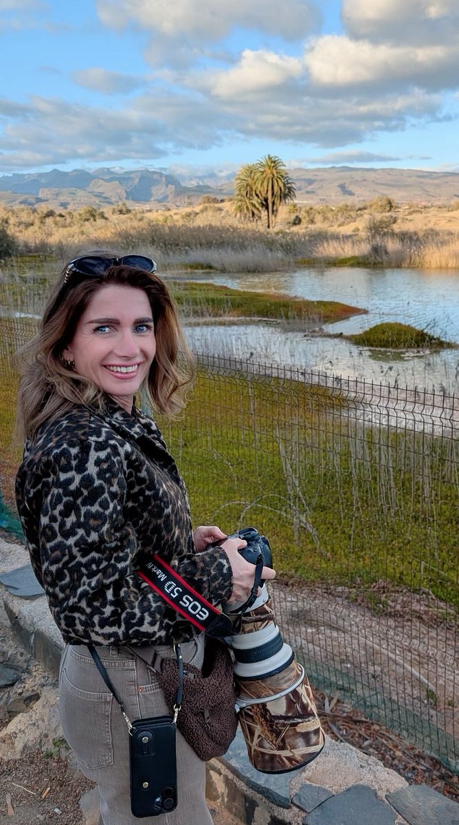 Brechje van der Tol tweet media