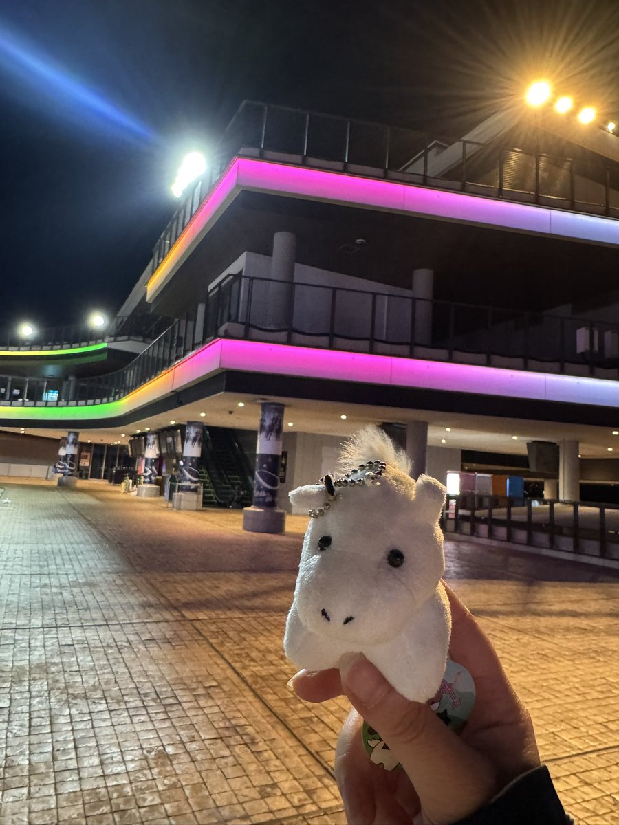 mam26j's tweet photo. 昨日のおもいで
おうまさん
強風
馬かぶり席 https://t.co/eNzyjdfVnH