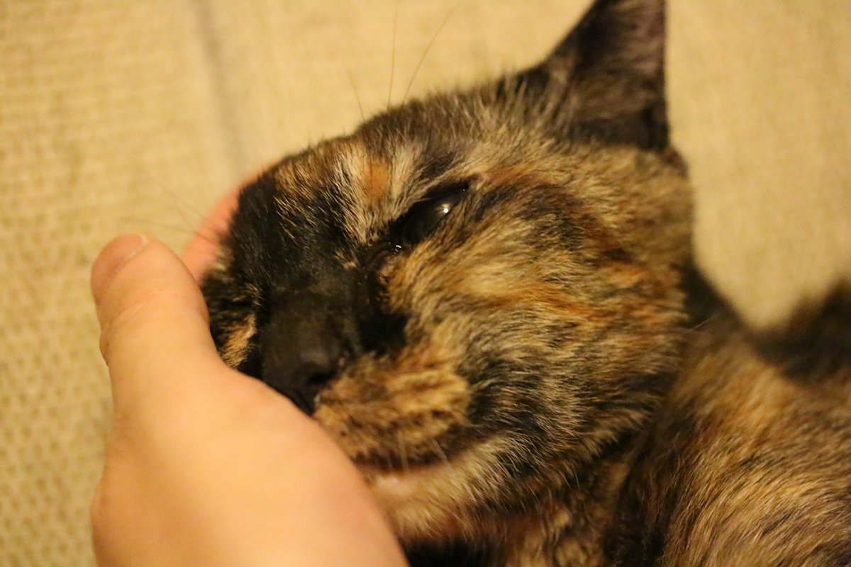 【最終値下げ】限定品　シルバーリング　ナメクジ　アトリエpuchuco　福田英生 アトリエpuchuco (@puchuco709) / Posts / X