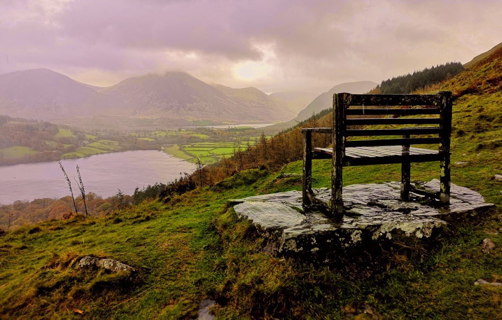 My Favourite Bench tweet media