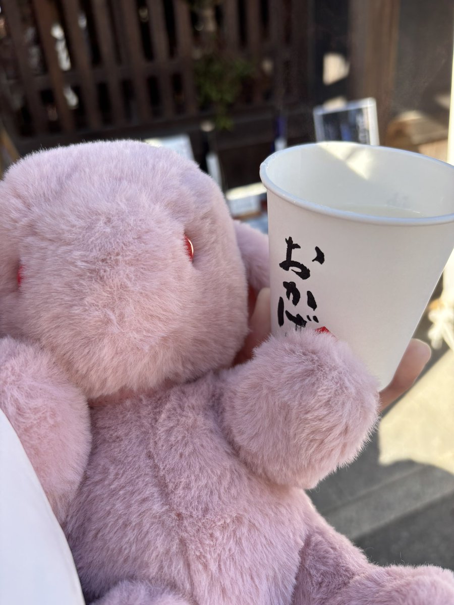 蓮🐰うさぎ屋🅿︎ (@buchixbuchi_co) / Posts / X