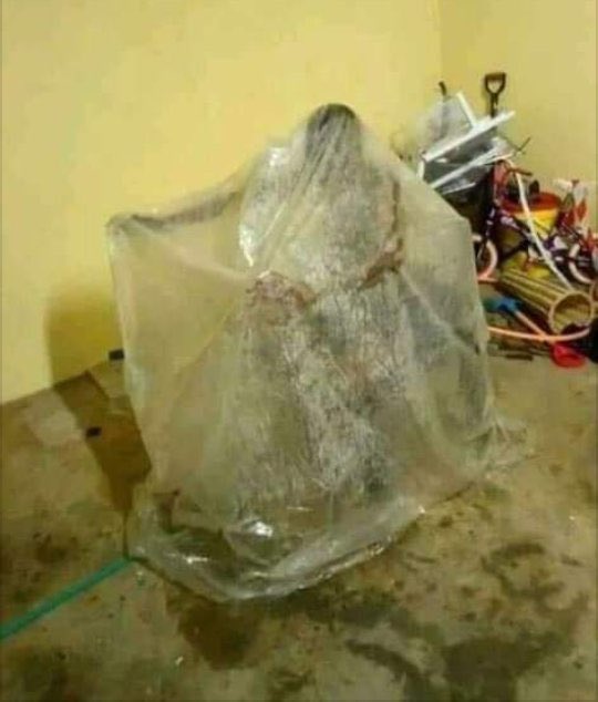 KW Mbuli tweet media