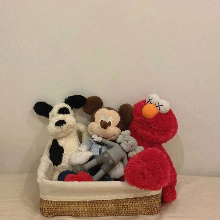 Poder_Evans's tweet image. Just got a new rollerblades  Cruising is so fun. Skaters, what’s your fave trick? Rollerbladin🎉g