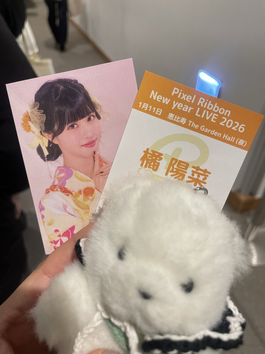 いまから、ぴくりぼ🎀のぴなちゃんに あえる‼️✨🐻‍❄️ どきどき