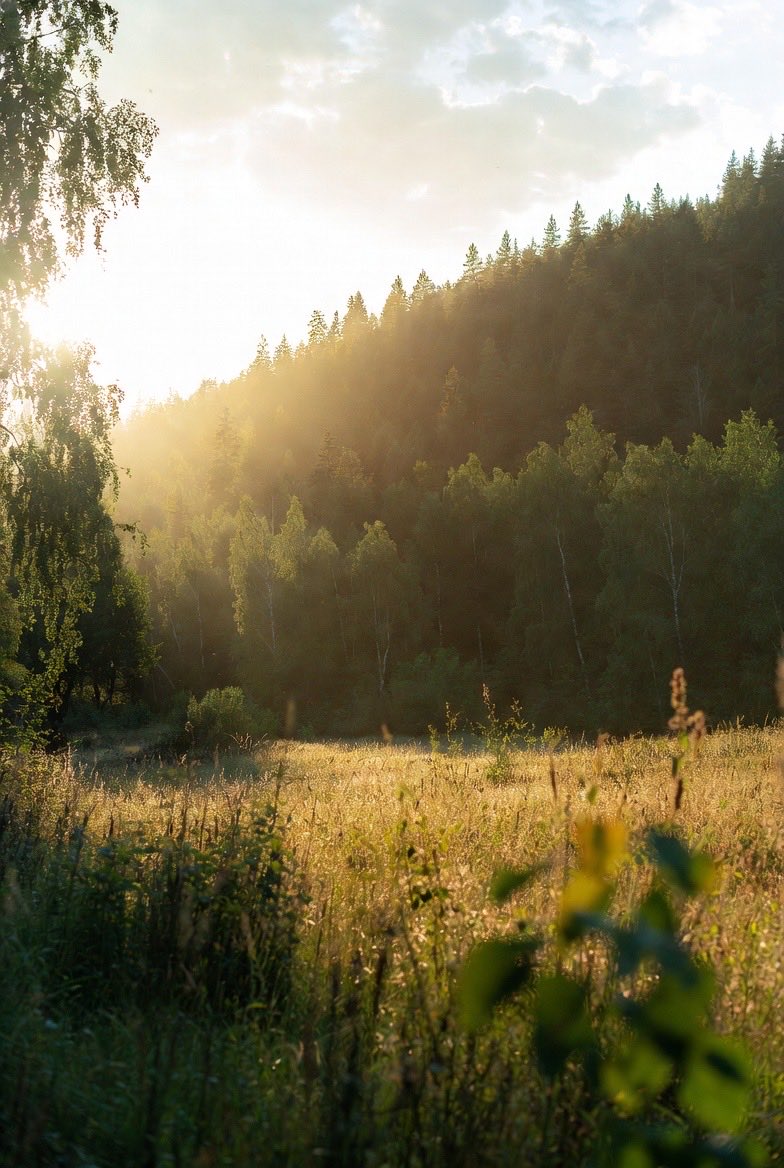 Morning Sunlight tweet media